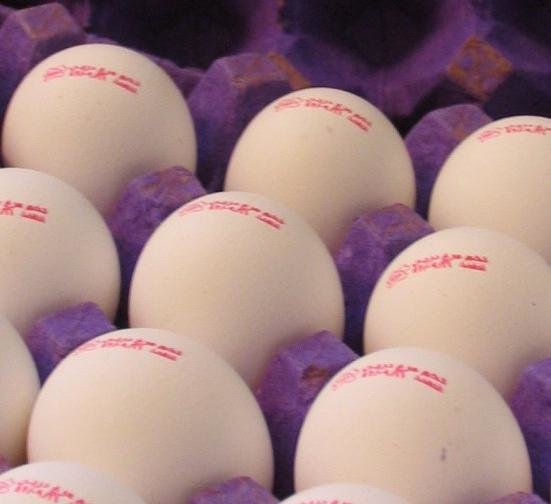 کاهش قیمت تخم‌مرغ در روزهای باقیمانده سال