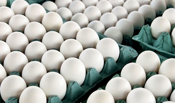 قیمت تخم‌مرغ از خردادماه کاهش پیدا می کند