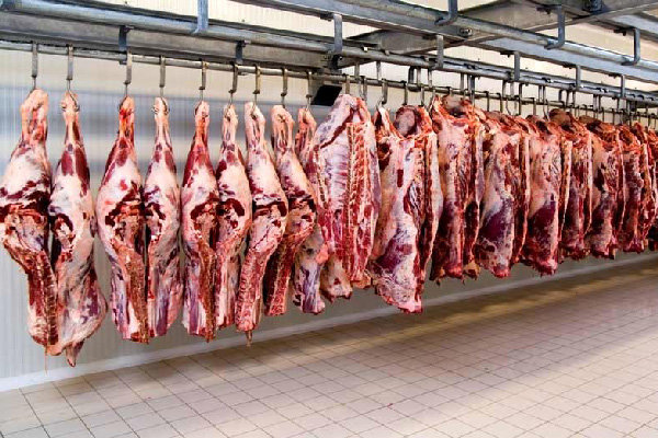 قیمت گوشت گوسفندی به ۶۰ هزارتومان رسید/قاچاق دام زنده کنترل شد