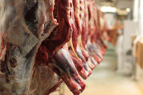 قیمت گوشت قرمز ۲۰ هزار تومان کاهش یافت